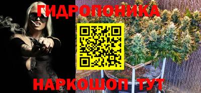 бошки Ливны
