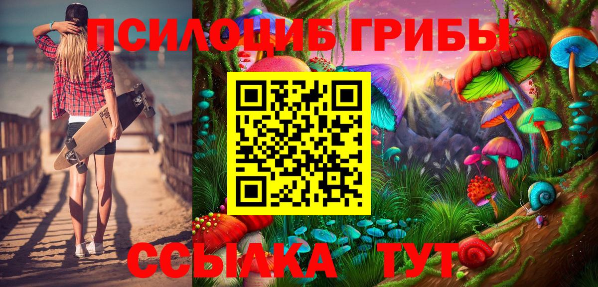 Псилоцибиновые грибы мицелий  Псилоцибиновые грибы Psilocybe  Вход с VPN  Донской 