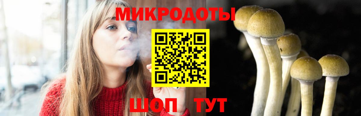 Галлюциногенные грибы Psilocybe Донской