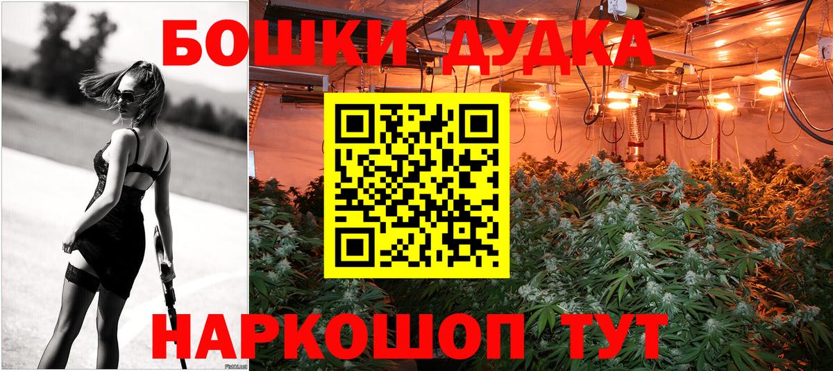 Конопля индика Донской